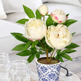 Artificial Peony Silk Flowers Potted with Blue and White Ceramic Pot - White