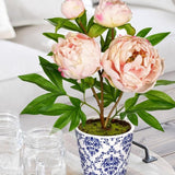 Artificial Peony Silk Flowers Potted with Blue and White Ceramic Pot - Pink