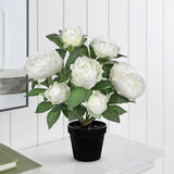 White Fake Peonies Artificial Flowers Potted for Home Decor