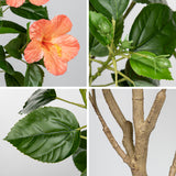 Artificial Hibiscus Tree Faux Plant Potted with Orange Flowers - 4.13ft