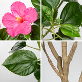Artificial Hibiscus Tree Faux Plant Potted with Pink Flowers - 4.13ft