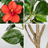 Artificial Hibiscus Tree Faux Plant Potted with Red Flowers - 4.13ft