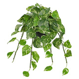 Artificial Hanging Pothos Vine Leaves Ivy Plants Potted in Black Pot