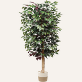 Ficus Tree 6ft in Cotton Pot Fake Silk Plant with Green Red Leaves