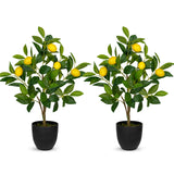 2ft Artificial Lemon Trees Fake Citrus Trees Potted Floor Plants, 2 Packs