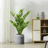 Artificial Zamioculcas Plants Tree Fake Silk Potted - 3ft