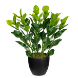 Artificial Zamioculcas Plants Potted with Black Pot for Home Decor - 18''