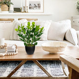 Artificial Zamioculcas Plants Potted with Black Pot for Home Decor - 18''