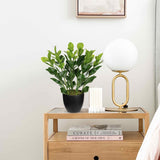 Artificial Zamioculcas Plants Potted with Black Pot for Home Decor - 18''