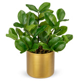 Artificial Zamioculcas Plant Faux Tropical Potted with Gold Pot - 11.8in
