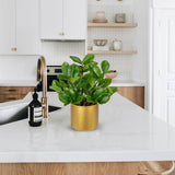 Artificial Zamioculcas Plant Faux Tropical Potted with Gold Pot - 15.7in