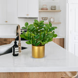 Artificial Zamioculcas Plant Faux Tropical Potted with Gold Pot - 11.8in
