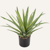 Artificial Agave Plant Fake Succulent Potted for Home Decor - 17in