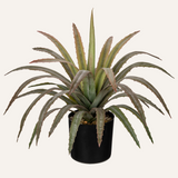 Artificial Agave Plant Fake Red Succulent Potted for Home Decor - 17in