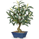 27.2''  Artificial Olive Tree Plant Potted for Home Decor