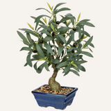 27.2''  Artificial Olive Tree Plant Potted for Home Decor