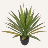 Artificial Agave Plant Fake Succulent Potted with Black Pot - 20in