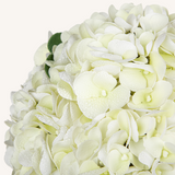 White Artificial Hydrangea Flowers with Vase Latex Water