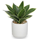 Artificial Agave Succulent Potted Plant for Home Decor - 9.6“