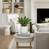 Artificial Agave Succulent Potted Plant for Home Decor - 9.6“