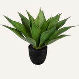Artificial Agave Succulent Potted Plant for Home Decor - 13.4"