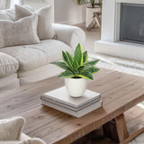 Artificial Snake Plants 9" Faux Agave Succulent Plant Potted in White Pot