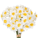 12 Stems Daffodils Artificial Flowers Real Touch Fake Narcissus Flower