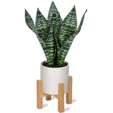14'' Artificial Snake Sansevieria Plant Potted with Wooden Stand