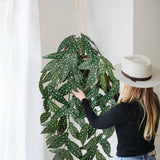 Artificial Hanging Begonia Vines Spot Plants Fake Potted Plants with Hook