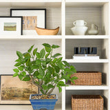 Small Artificial Ficus Tree Plants Green Leaves Potted for Home - 15.3"