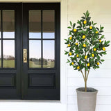 Artificial Lemon Trees Faux Citrus Tree Potted with White Ceramic Pot - 5ft