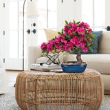 Red Artificial Bougainvillea Bonsai Flower Tree with Blue Pot - 18.5"