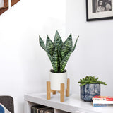 14'' Artificial Snake Sansevieria Plant Potted with Wooden Stand