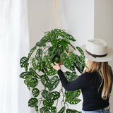 Artificial Hanging Monstera Albo Vines Plants Fake Potted Plants with Hook