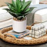 Artificial Agave Succulent Plants Potted with White Pot for Desk