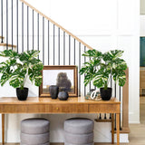 17" Artificial Monstera Plant Faux Monstera Deliciosa Plant in Black Pot - 2pcs