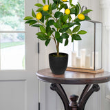 2ft Artificial Lemon Trees Fake Citrus Trees Potted Floor Plants, 2 Packs