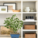 Small Artificial Ficus Tree Plants White Leaves Potted for Home - 15.3"