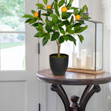 2ft Artificial Orange Trees Fake Citrus Trees Potted Floor Plants, 2 Packs