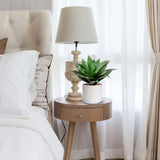 Artificial Agave Succulent Plants Potted with White Pot for Desk