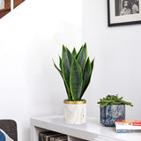 16" Artificial Snake Sansevieria Plant Potted with White Ceramic Pot