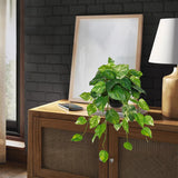 Artificial Hanging Pothos Vine Leaves Plants Potted in Black Pot