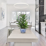 Artificial Lucky Bamboo Plant Potted in Blue and White Ceramic Pot -  20"