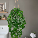Artificial Hanging Monstera Leaves Vines Plants Fake Potted Plants with Hook