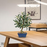 27.2''  Artificial Olive Tree Plant Potted for Home Decor