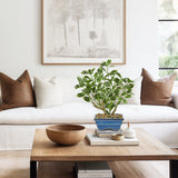 Small Artificial Ficus Tree Plants White Leaves Potted for Home - 15.3"