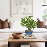 Small Artificial Ficus Tree Plants Green Leaves Potted for Home - 15.3"