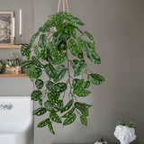 Artificial Hanging Monstera Albo Vines Plants Fake Potted Plants with Hook