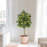 Artificial Lemon Trees Faux Citrus Tree Potted with White Ceramic Pot - 4ft