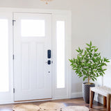 Artificial Eucalyptus Tree Fake Plant Potted for Home - 4ft